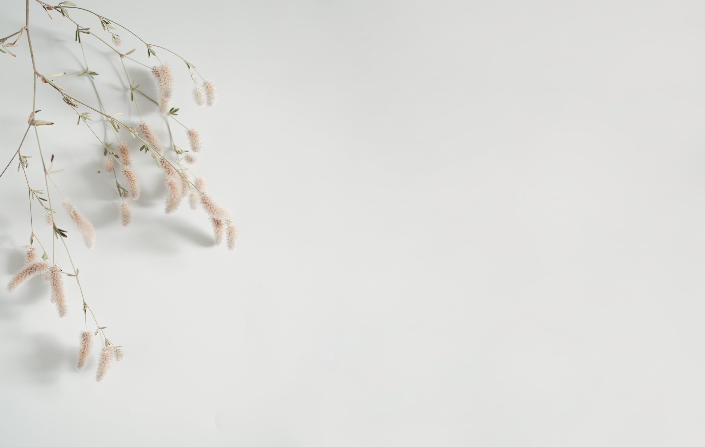 Anne Winters Digital Marketing & Design Mission Statement. Quality American Product at affordable rates.